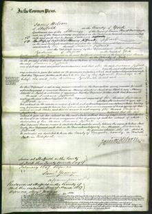 Court of Common Pleas - Susanna Jeffcock-Original Ancestry