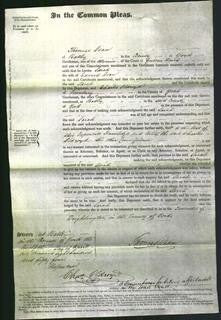 Court of Common Pleas - Sarah Dean-Original Ancestry