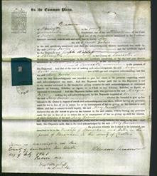 Court of Common Pleas - Mary Davies-Original Ancestry