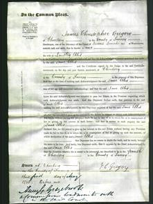 Court of Common Pleas - Jane Ellis-Original Ancestry