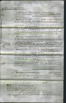 Court of Common Pleas - Gertrude Callender-Original Ancestry