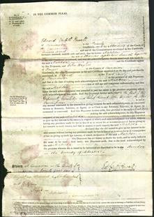 Court of Common Pleas - Matilda Smith-Original Ancestry