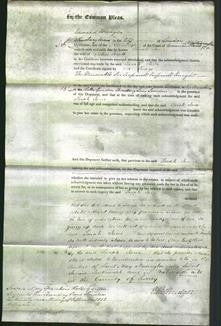 Court of Common Pleas - Sarah Jane Hiatt-Original Ancestry