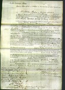 Court of Common Pleas - Rhoda Mitchell-Original Ancestry