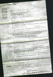 Court of Common Pleas - Hannah Roberts and Ann Gurney-Original Ancestry