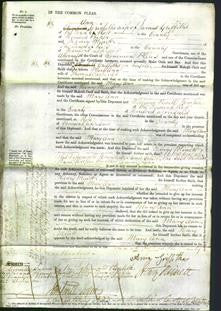 Court of Common Pleas - Mary Ann Edwards-Original Ancestry