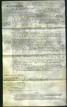 Court of Common Pleas - Elizabeth Bower, Mary Maria Webb and Sarah Ann Dyson-Original Ancestry