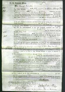 Court of Common Pleas - Anne Harrison-Original Ancestry