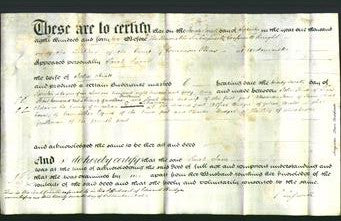 Deed by Married Women - Sarah Jane Hiatt-Original Ancestry