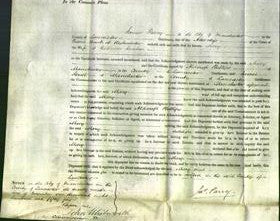 Court of Common Pleas - Mary Sawdon-Original Ancestry