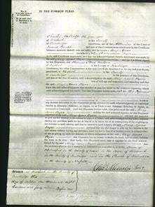 Court of Common Pleas - Mary Agnes Fryer-Original Ancestry
