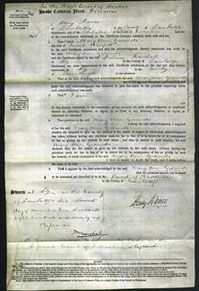 Court of Common Pleas - Mary Ann Grounds Murfitt-Original Ancestry