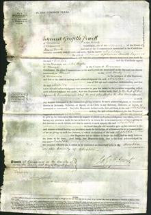 Court of Common Pleas - Matilda Smith-Original Ancestry