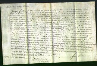 Court of Common Pleas - Ann Bickerstaff-Original Ancestry