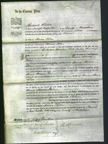 Court of Common Pleas - Anna Maria Helm-Original Ancestry