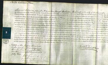 Court of Common Pleas - Tryphena Ridge-Original Ancestry