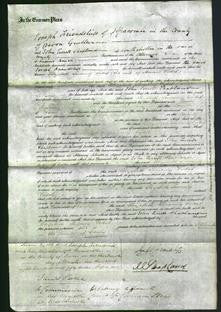 Court of Common Pleas - Elizabeth Levering Vidal-Original Ancestry