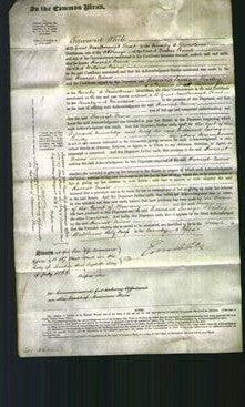Court of Common Pleas - Harriet Niven-Original Ancestry