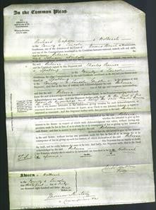 Court of Common Pleas - Rebecca Nicholls-Original Ancestry