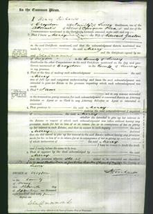 Court of Common Pleas - Mercy Gaston-Original Ancestry