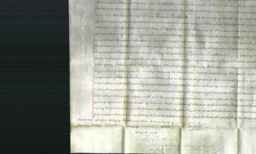 Court of Common Pleas - Julia Hall-Original Ancestry