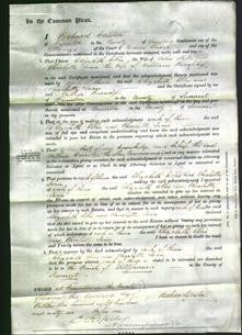 Court of Common Pleas - Elizabeth Ellis Hill and Charlotte Joan Humphry-Original Ancestry