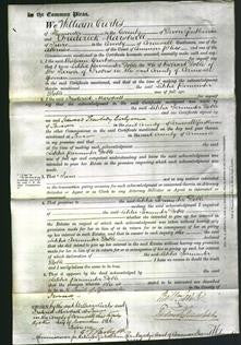 Court of Common Pleas - Letitia Parminter Doble-Original Ancestry