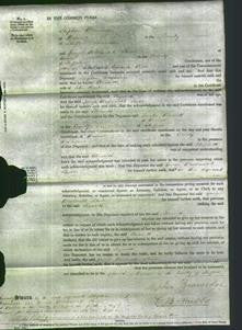 Court of Common Pleas - Elizabeth Paget-Original Ancestry