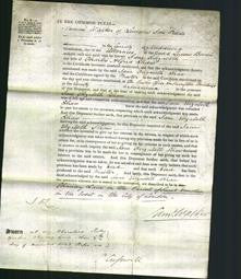 Court of Common Pleas - James Elizabeth Shaw-Original Ancestry