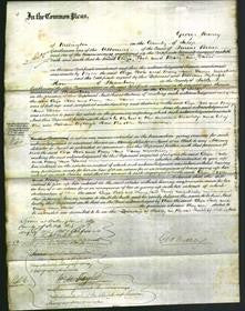 Court of Common Pleas - Eliza Poole, Mary Jane Davies-Original Ancestry