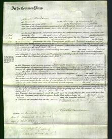 Court of Common Pleas - Ann Parrish-Original Ancestry