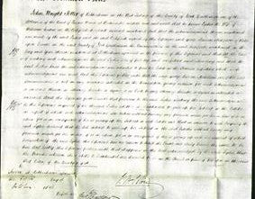 Court of Common Pleas - Lydia Saxton-Original Ancestry