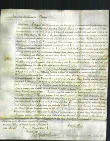 Court of Common Pleas document - Mary Hartley-Original Ancestry
