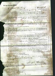 Court of Common Pleas - Ann Boxall-Original Ancestry