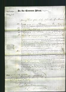 Court of Common Pleas - Hannah Mary Higgins-Original Ancestry