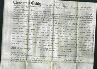 Deed by Married Women - Mary Phillippo-Original Ancestry