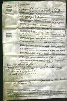 Court of Common Pleas - Sarah Langley-Original Ancestry