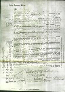 Court of Common Pleas - Jenifer Doidge, Elizabeth Northery, Arabella Dingle, Jane Perry, Elizabeth Willcock, Philippa Perry and Mary Davey-Original Ancestry