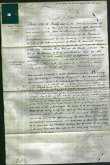 Deed by Married Women - Elizabeth Jeavons, Sarah Butler and Louisa Williams-Original Ancestry