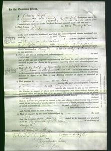 Court of Common Pleas - Lucy Hardy-Original Ancestry
