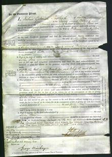 Court of Common Pleas - Esther Stone-Original Ancestry