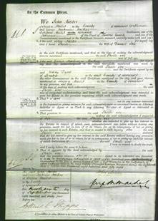 Court of Common Pleas - Phoebe Say-Original Ancestry