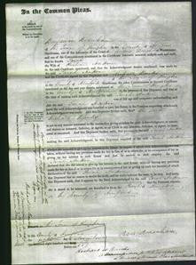 Court of Common Pleas - Sarah Hatton-Original Ancestry