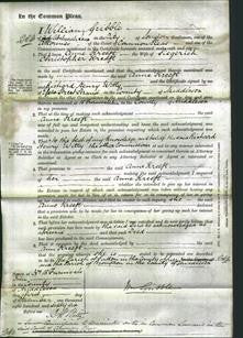 Court of Common Pleas - Anne Kreeft-Original Ancestry