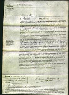 Court of Common Pleas - Caroline Harriet Countess Soniers-Original Ancestry