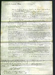 Court of Common Pleas - Elizabeth Blake-Original Ancestry