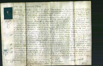 Court of Common Pleas - Jane Hurley-Original Ancestry