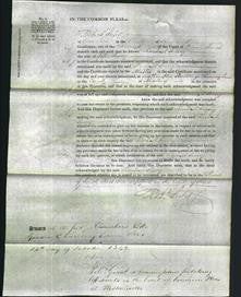 Court of Common Pleas - Rachel Savery-Original Ancestry