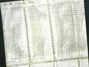 Court of Common Pleas - Mary Anne Birley-Original Ancestry