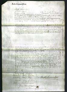 Court of Common Pleas - Sarah Sophia Grant, Esther Ann Gladding and Mary Ford-Original Ancestry